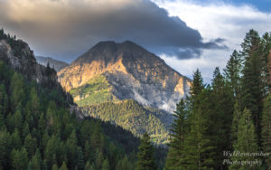 Insights and Understanding